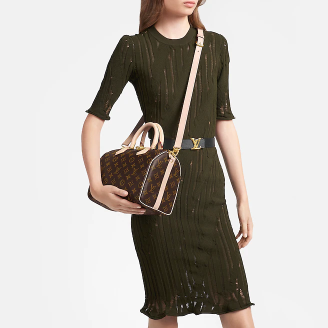 The Louis Vuitton Speedy Bandoulière 25 handbag displayed upright