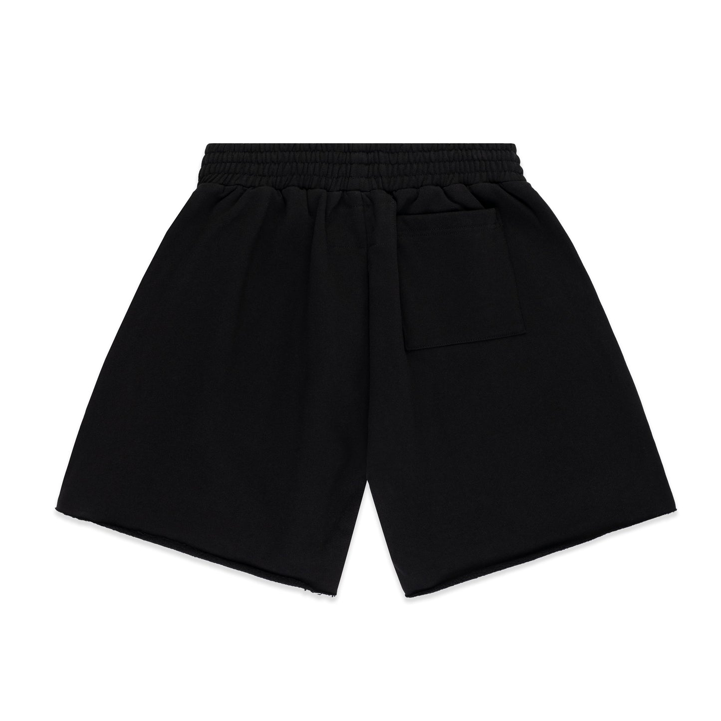Back view of SP5DER Beluga Outline Sweatshort in Black