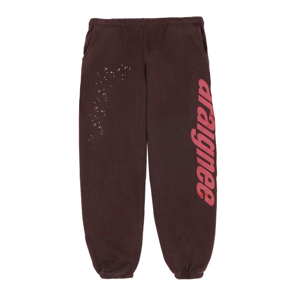 SP5DER Araignee Sweatpant in Brown