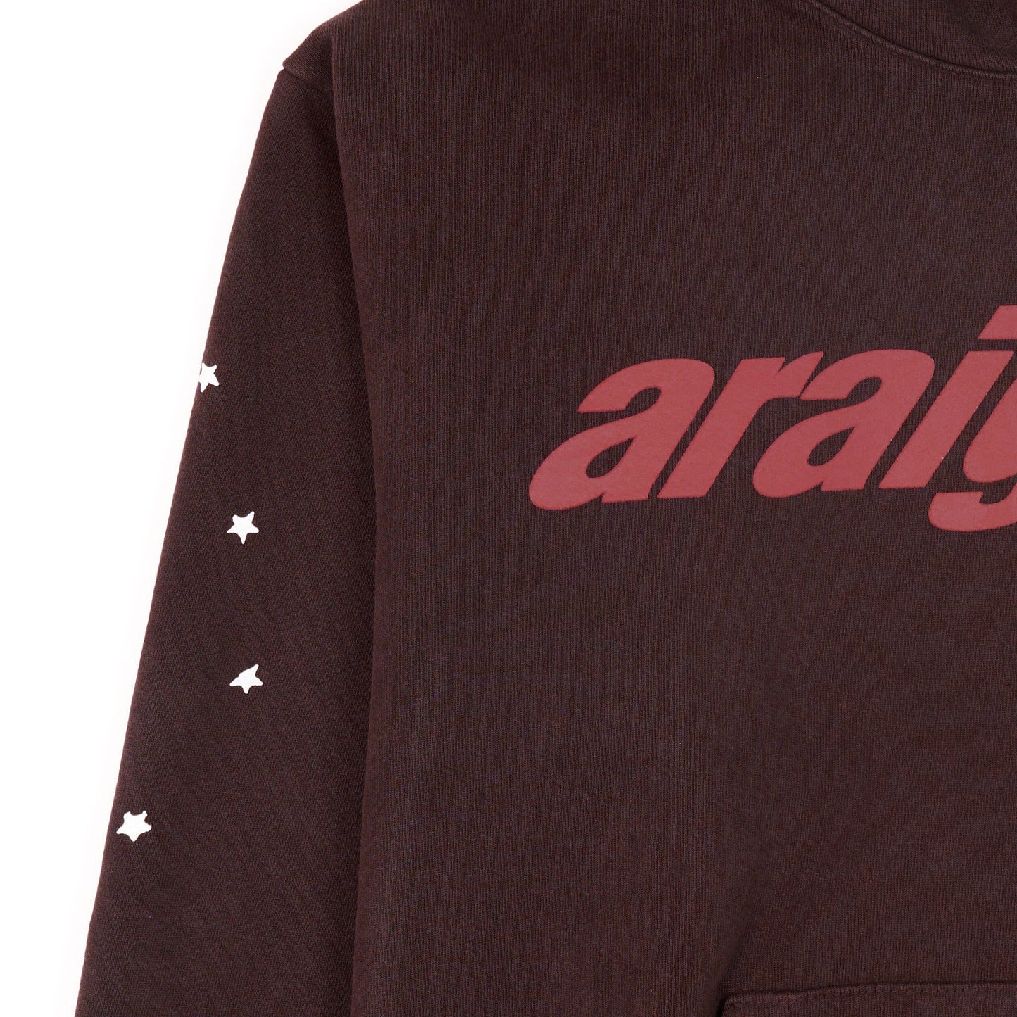 SP5DER Araignee Hoodie – Brown - Detail View 1
