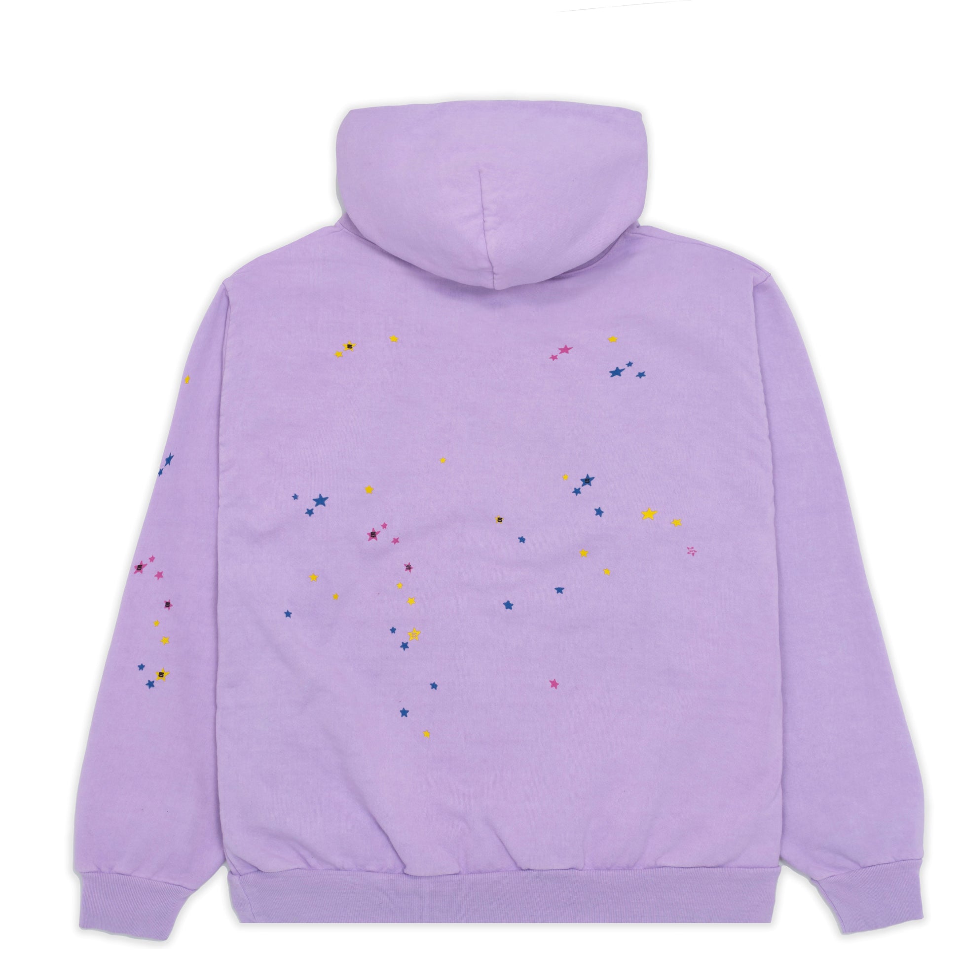 SP5DER Acai Hoodie – Purple - Back View