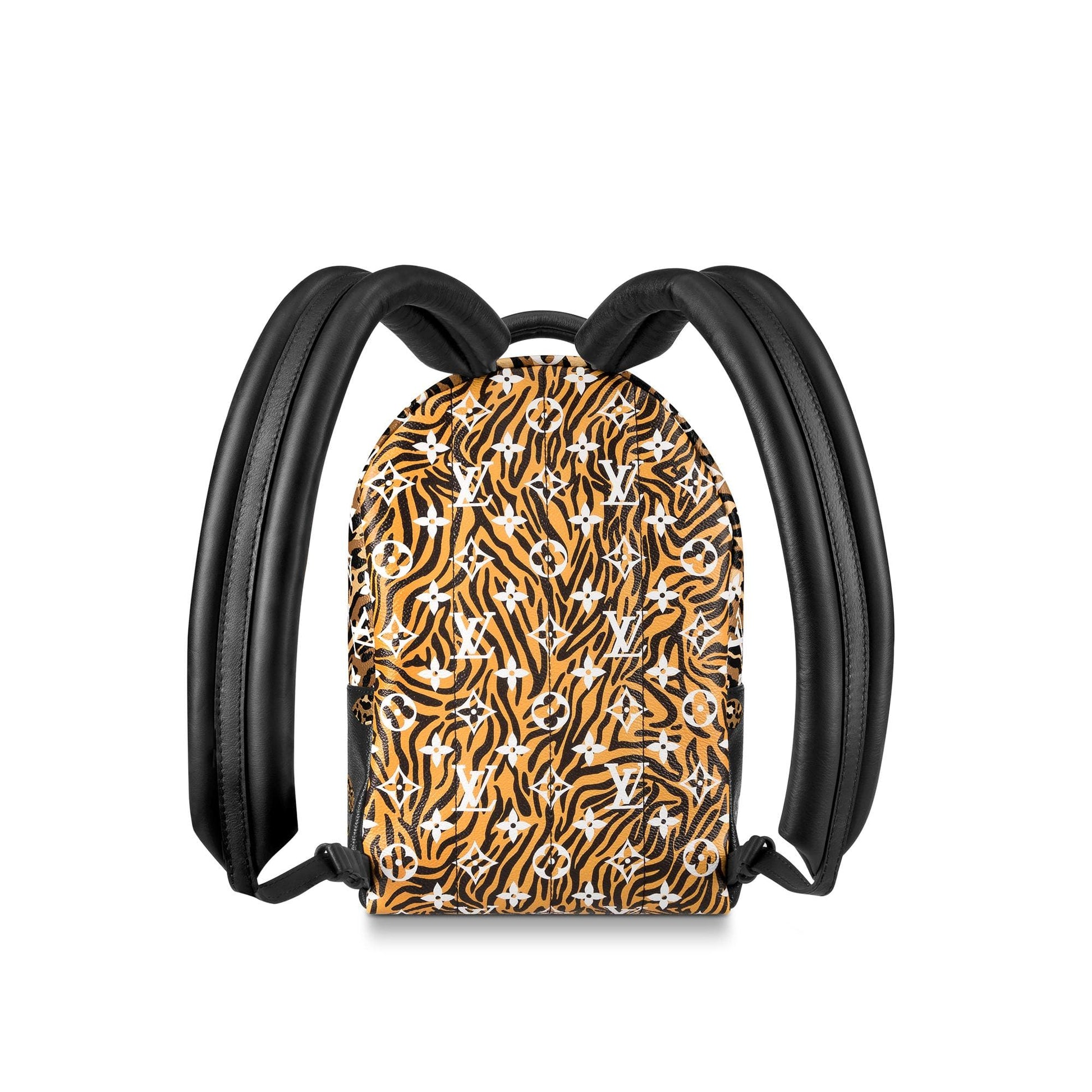 Louis Vuitton Palm Springs Backpack PM Monogram Canvas Backpack M44178